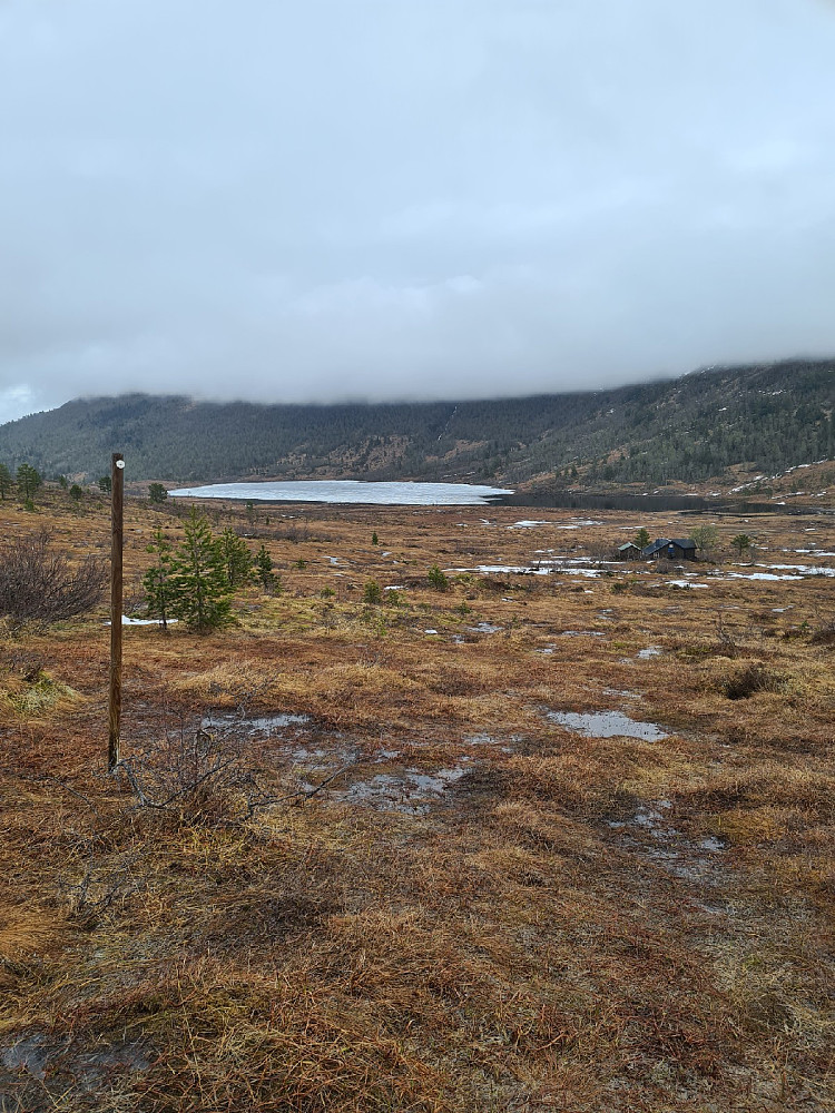 Vetavatne