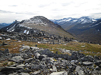 Steffen86_20170906_59afb4c5f05c9.jpg