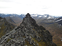 Steffen86_20170906_59afb4cd91bce.jpg