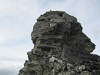Steffen86_20170906_59afbe7e375b2.jpg