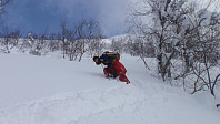 Steffen86_20170914_59ba78695ccba.jpg