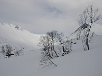 Steffen86_20170914_59ba7904dbad3.jpg