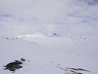 Steffen86_20170914_59ba7b41a73cb.jpg