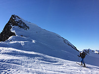 Steffen86_20170915_59bb88b4c8c31.jpg