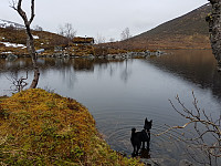 Steffen86_20170925_59c8cc4d4fc48.jpg