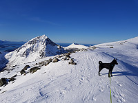 Steffen86_20180306_5a9e862acca26.jpg