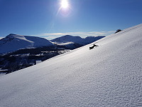 Steffen86_20180306_5a9e8630cf446.jpg