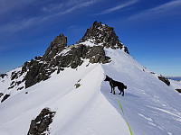 Steffen86_20180306_5a9e874d9f293.jpg