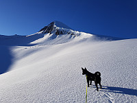 Steffen86_20180306_5a9e88bf9e7c5.jpg