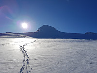 Steffen86_20180306_5a9e88dce8bcb.jpg