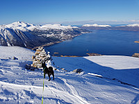 Steffen86_20180306_5a9e88ef1b716.jpg