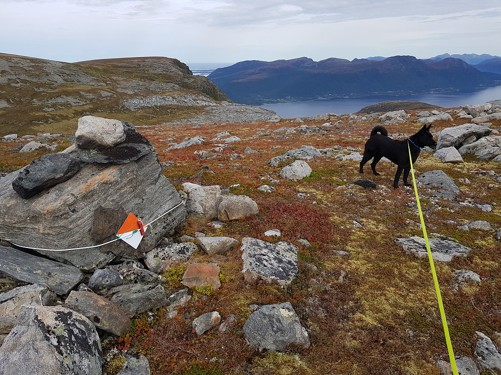 Urfjellet