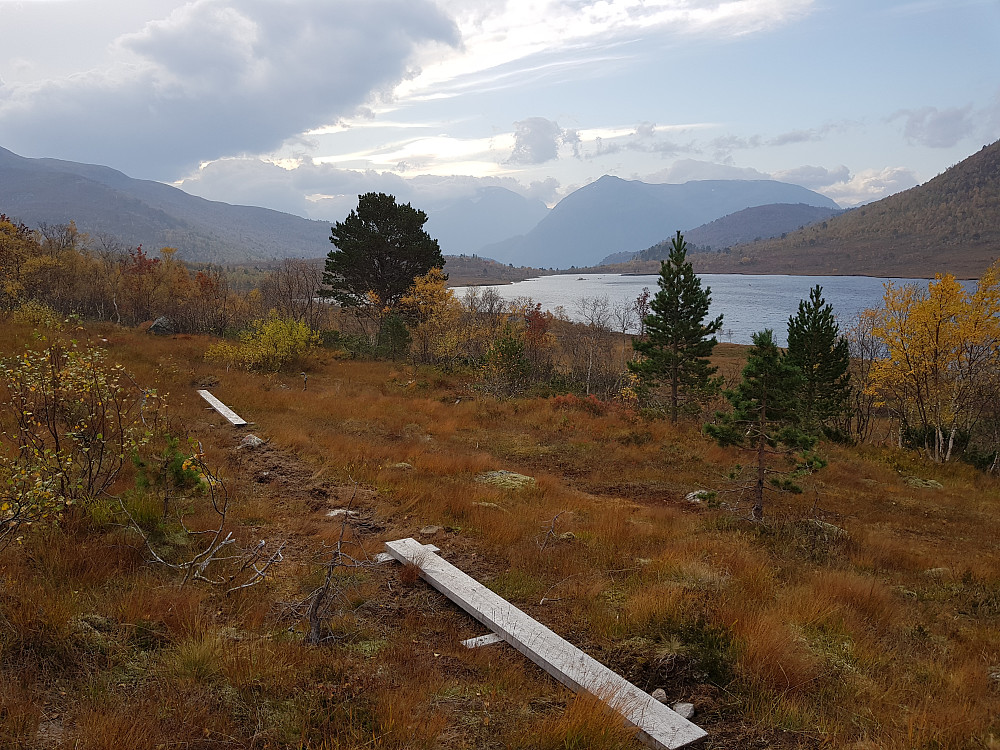 Fine stier langs Selsetervatnet