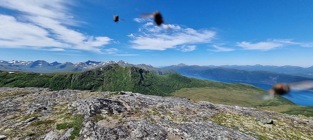 Beskrivende bilde fra turen