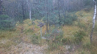 ericpf_20151010_56192b6450f91.jpg