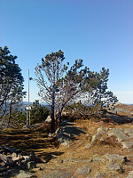 ericpf_dsc00283.jpg