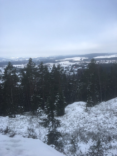 Utsikt over Romerike fra Lunderåsen. bedre utsikt her enn på selve Bjørnholen