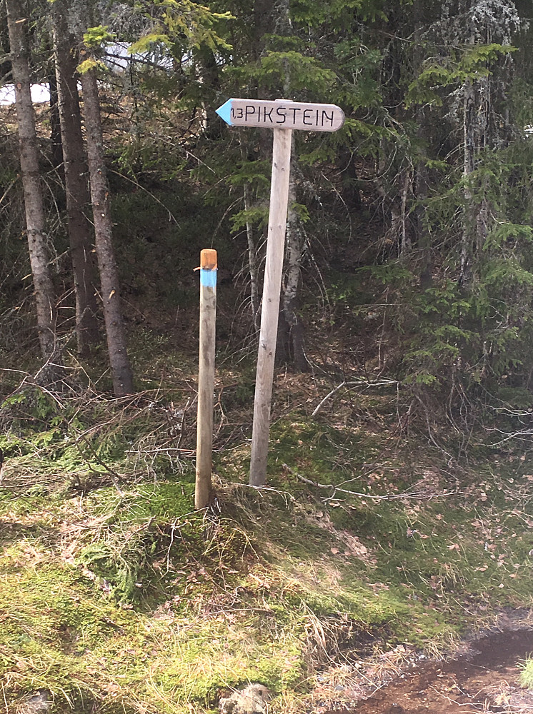 Her starter stien opp til platået med Piksteintoppene og dagens mål. Det var snø på veien hele strekningen fra Presteseter