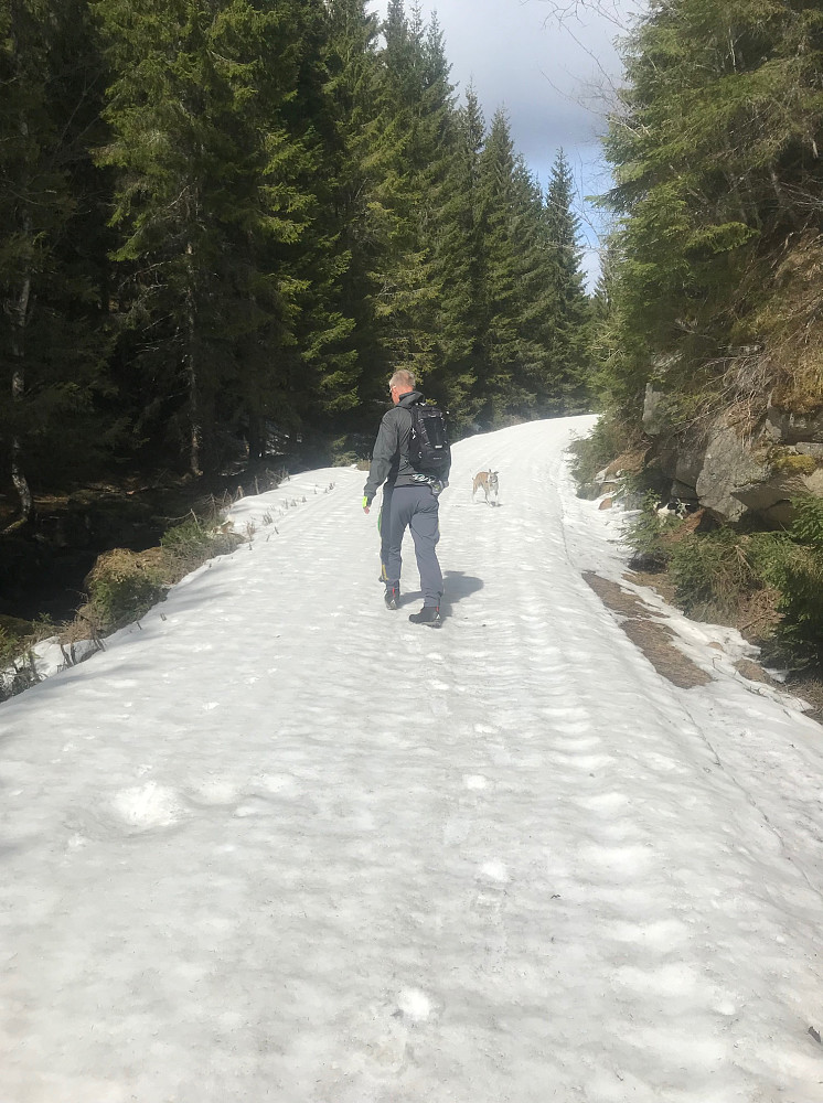 Veien fra Presteseter og videre mot stien til Pikstein var fortsatt snøbelagt, men snøen bar heldigvis godt fortsatt. Senest helgen før var det kjørt opp skispor innover her.