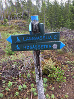 Harex_20190526_5cea3a5bcdb3c.jpg