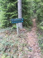 Harex_20190526_5cea3a6920a3d.jpg