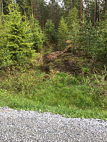 Harex_20190526_5cea3a6c9ac74.jpg