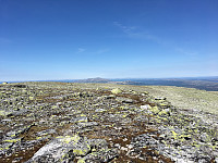 Harex_20190713_5d297abd0a0bd.jpg