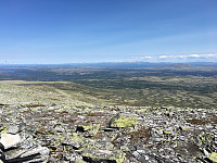 Harex_20190713_5d297abdb08c2.jpg