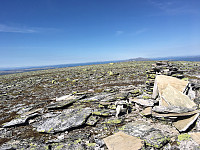 Harex_20190713_5d297abf119f5.jpg