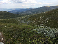 Harex_20190825_5d62b8300d3b4.jpg