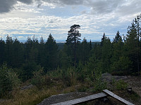 Harex_20200904_5f51689a1ffe4.jpg