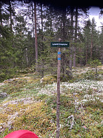 Harex_20200904_5f51689ab43d1.jpg