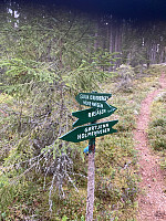 Harex_20200904_5f51689b65049.jpg