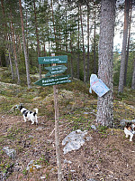 Harex_20200904_5f51689cc566c.jpg