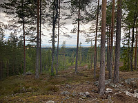 Harex_20200904_5f51689d7d966.jpg