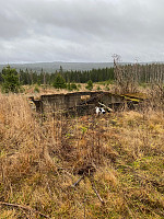 Harex_20201101_5f9ed4c6bb5b4.jpg