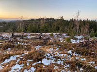 Harex_20201121_5fb92f90db933.jpg