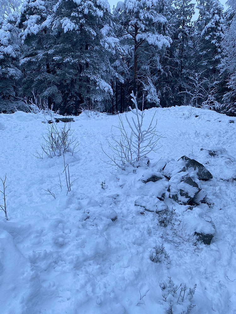 Ellingsrudåsen