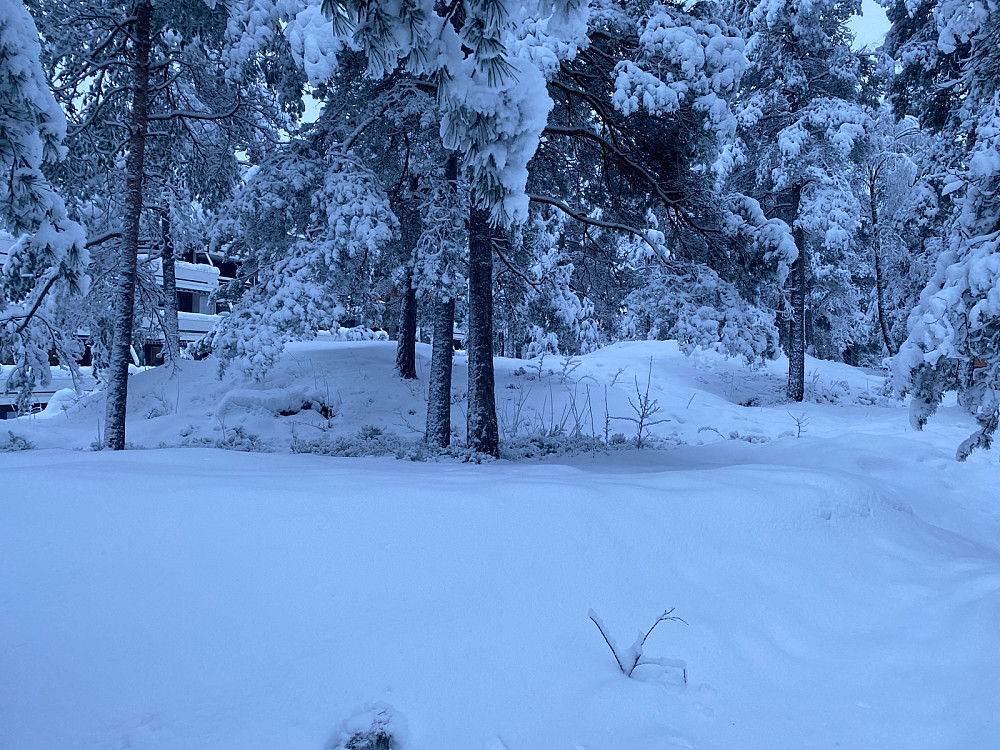 Ellingsrud