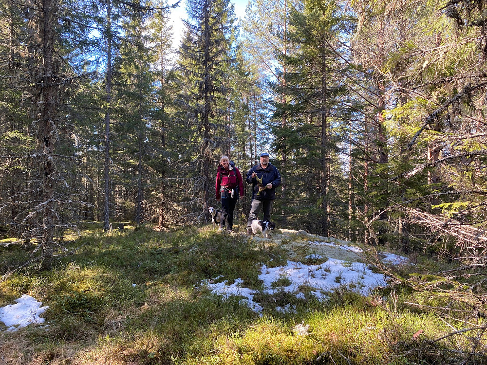 Kjerkelihøgda/Grasdalshøgda