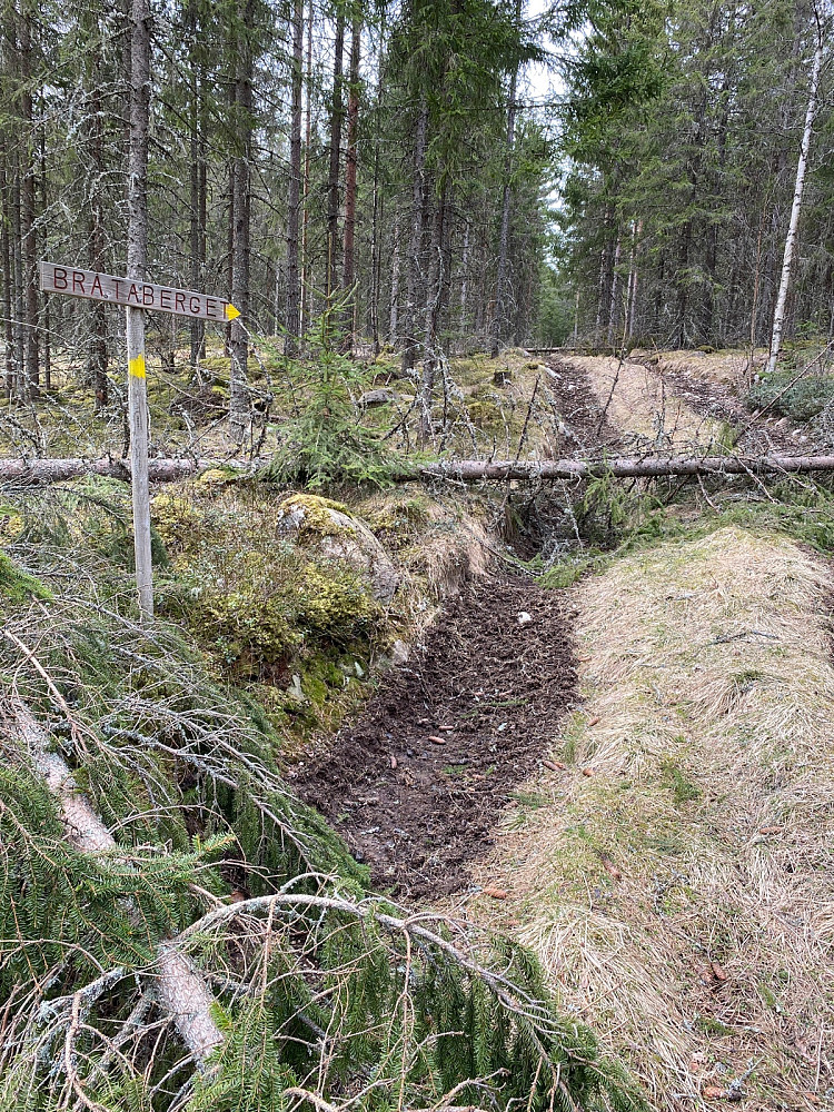 En del nedfall i starten her. Var skiltet flere steder mot Bråtaberget, en lavere topp som ligger nord for Lemberget. Men ingen skilt mot Lemberget som er høyest.