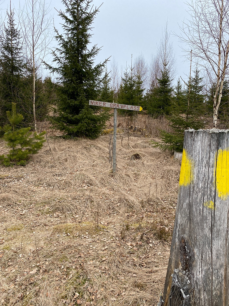 Gik av her på turen ned og innom gravplassen fra bronsealderen, fint merket helt til plassen, som lå nesten het nede ved Norge Viker gård