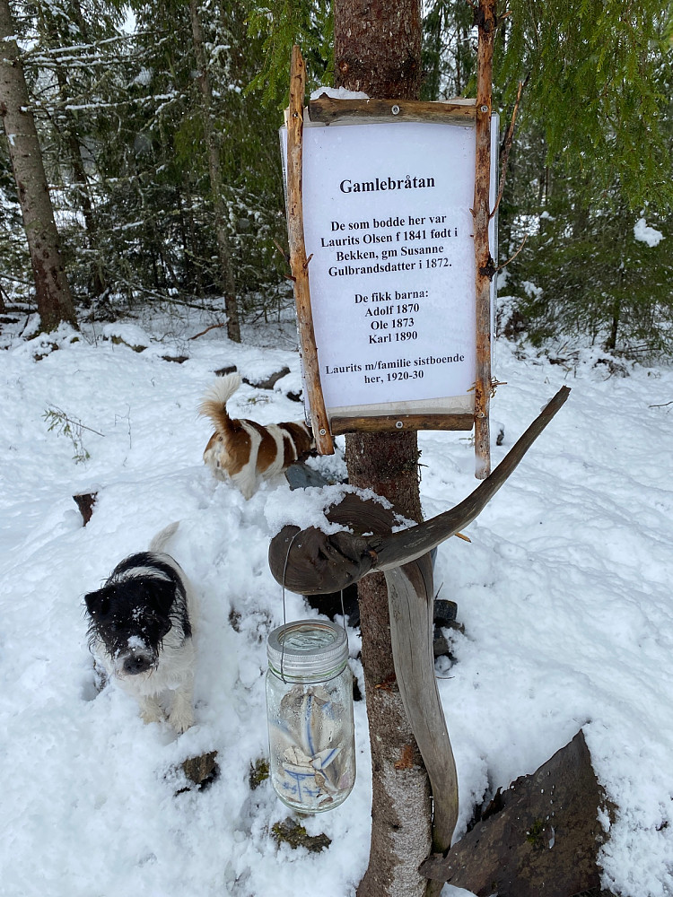 Gamlebråtan har fått nye beboere...