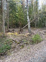 Harex_20210416_6079b03d0f7b6.jpg