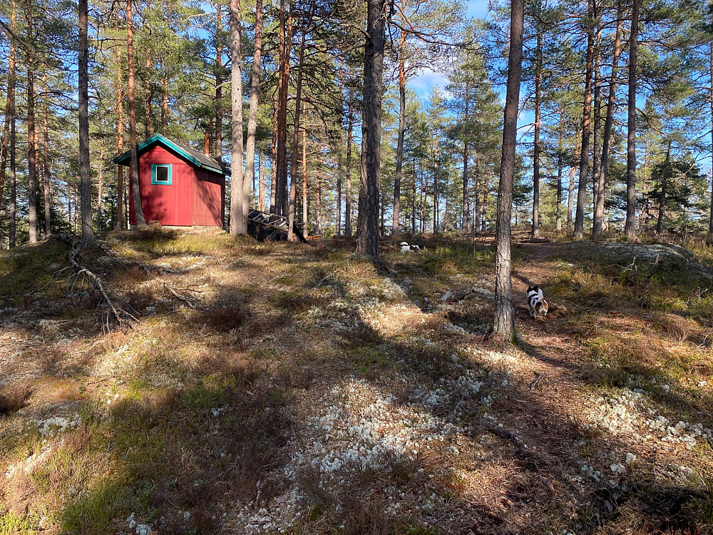«Nødbu» på toppen. Toppunktet er 20 m halvt  Venstre