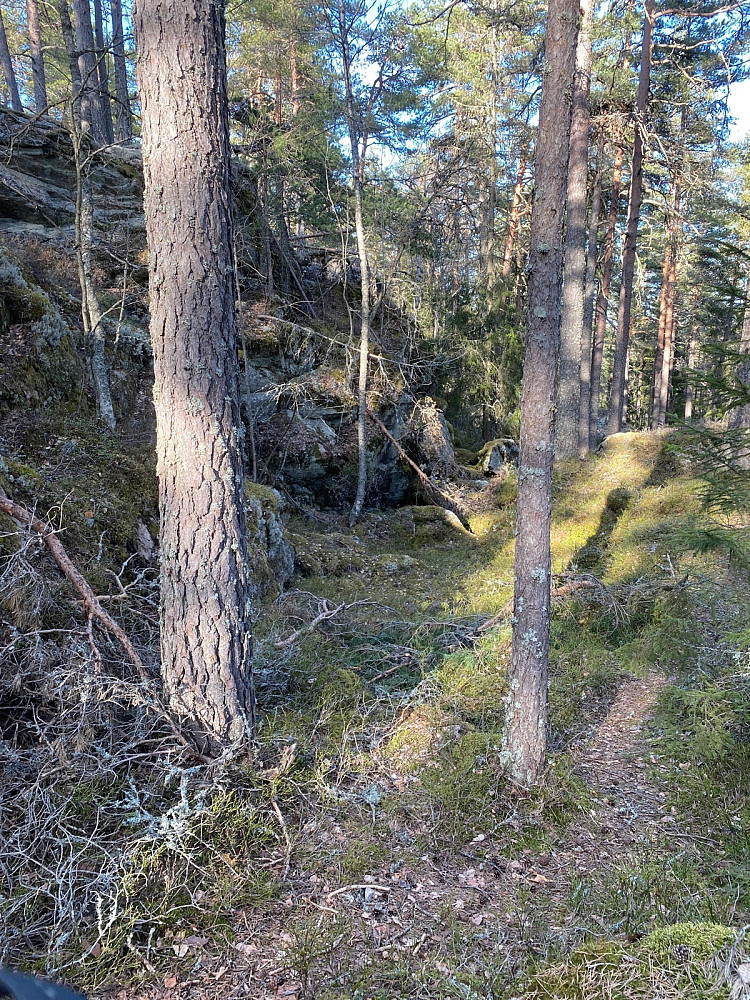 Samme stup på østsiden av åsen men noe lenger sør