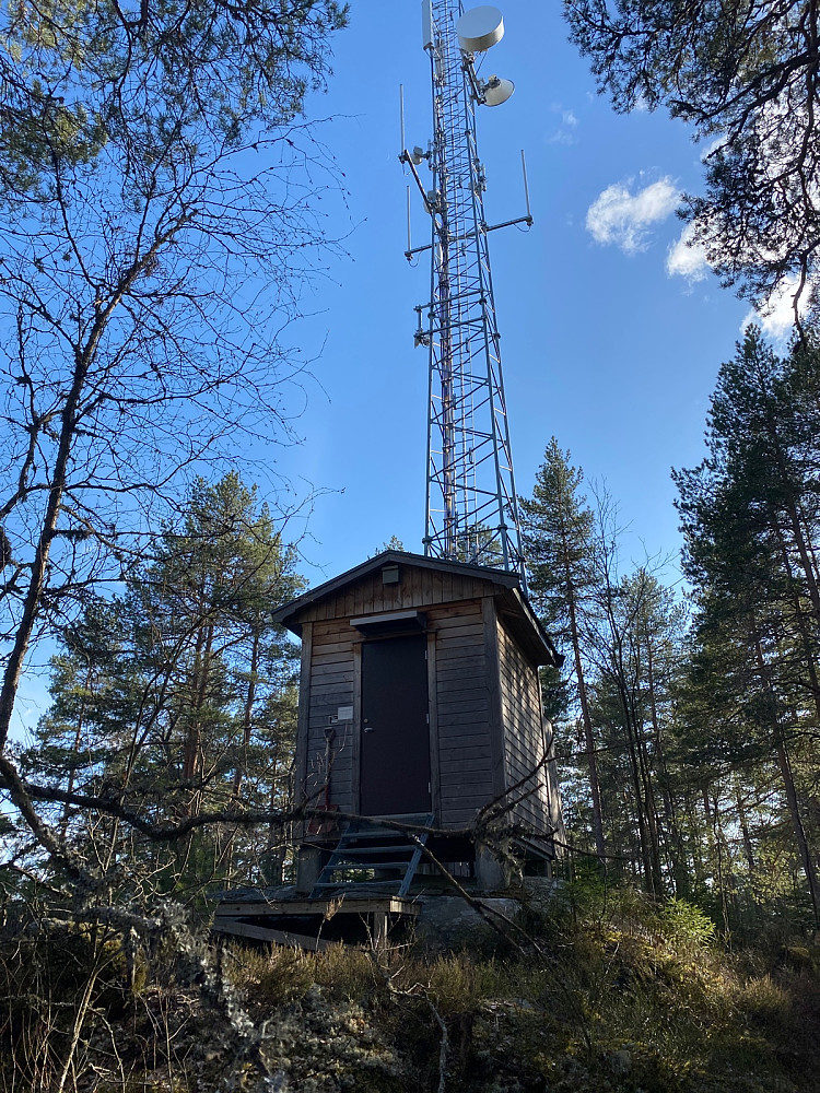 Masta fra nordsiden