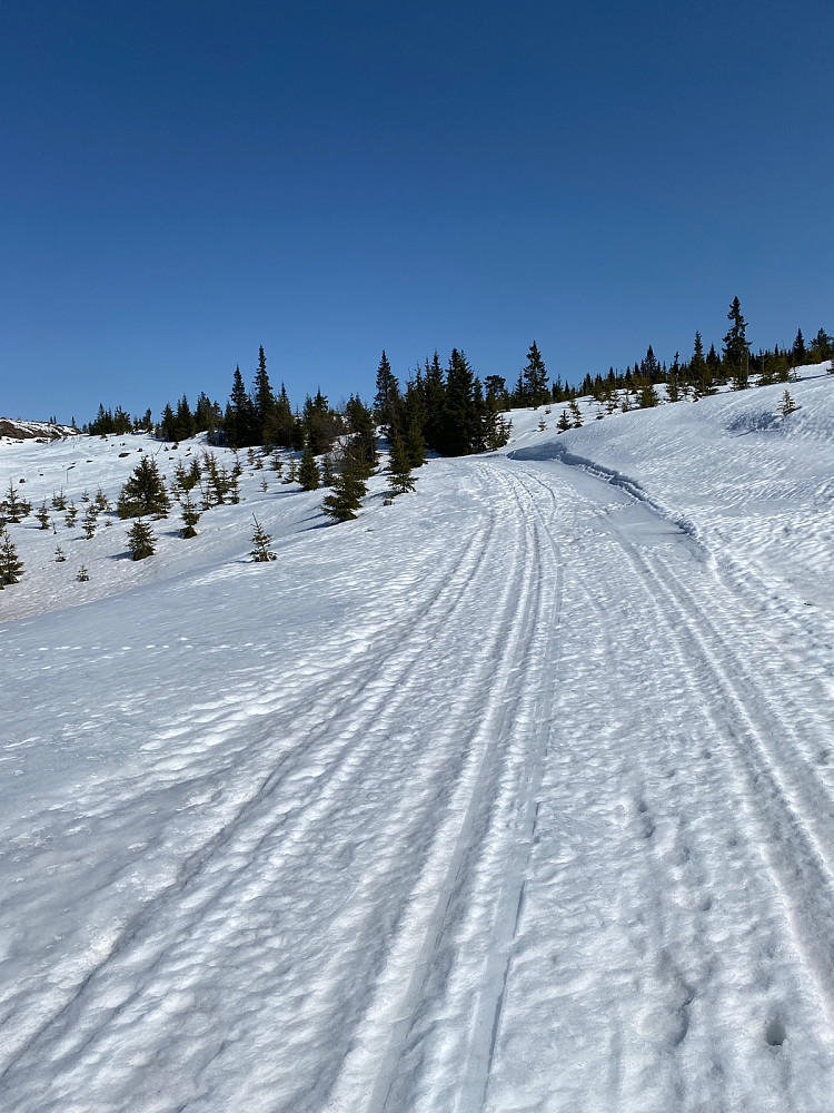 Fine spor langs veien de første 2 km. Helt alene. �