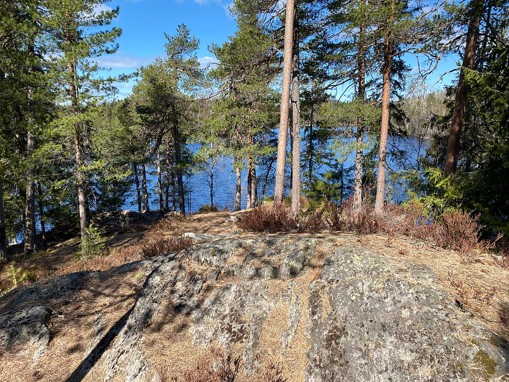 Tonepølsa mot Tonevannet