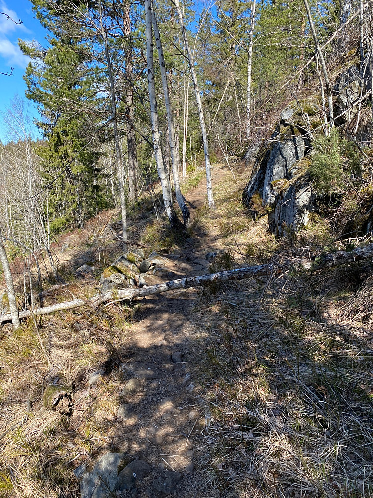Flott sti oppover lia, ble betydelig brattere siste biten.